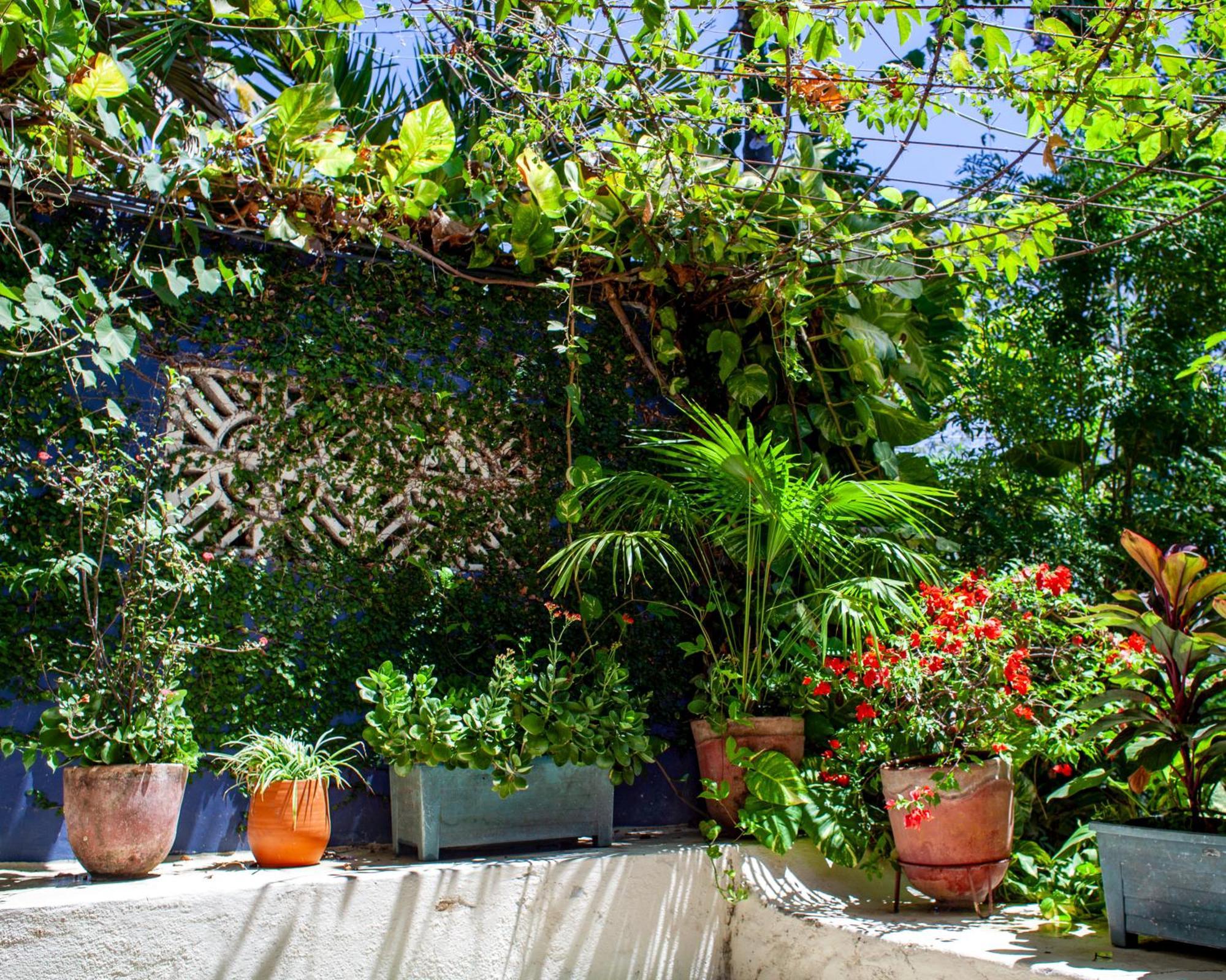 Bed and Breakfast Casa Marimba La Laguna Exterior foto